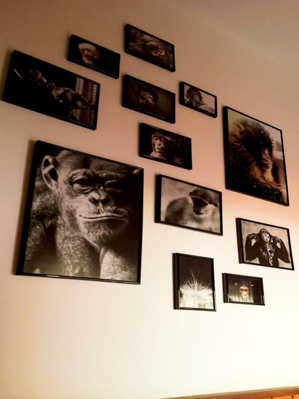 The Mellow Monkey Hostel Zara Esterno foto